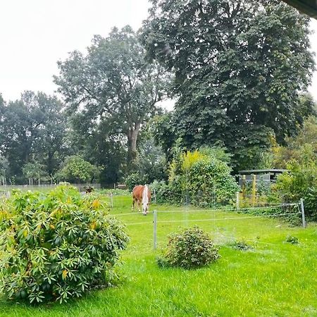 Urlaub In Unserem „Kleinen Haus“ Nindorf  Eksteriør bilde