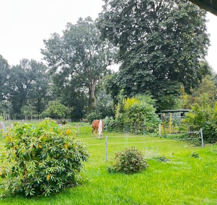 Urlaub In Unserem „Kleinen Haus“ Nindorf  Eksteriør bilde